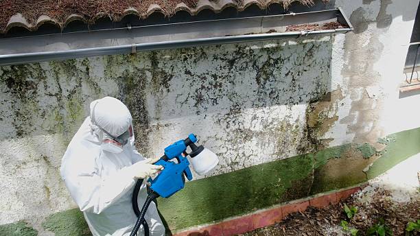 Trusted Mold Remediation service in Fair Haven, NJ - Cheap Mold Removal